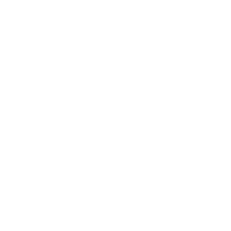 The Jessie Ball duPont Fund